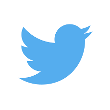 TWEETS Paarden Eiland 